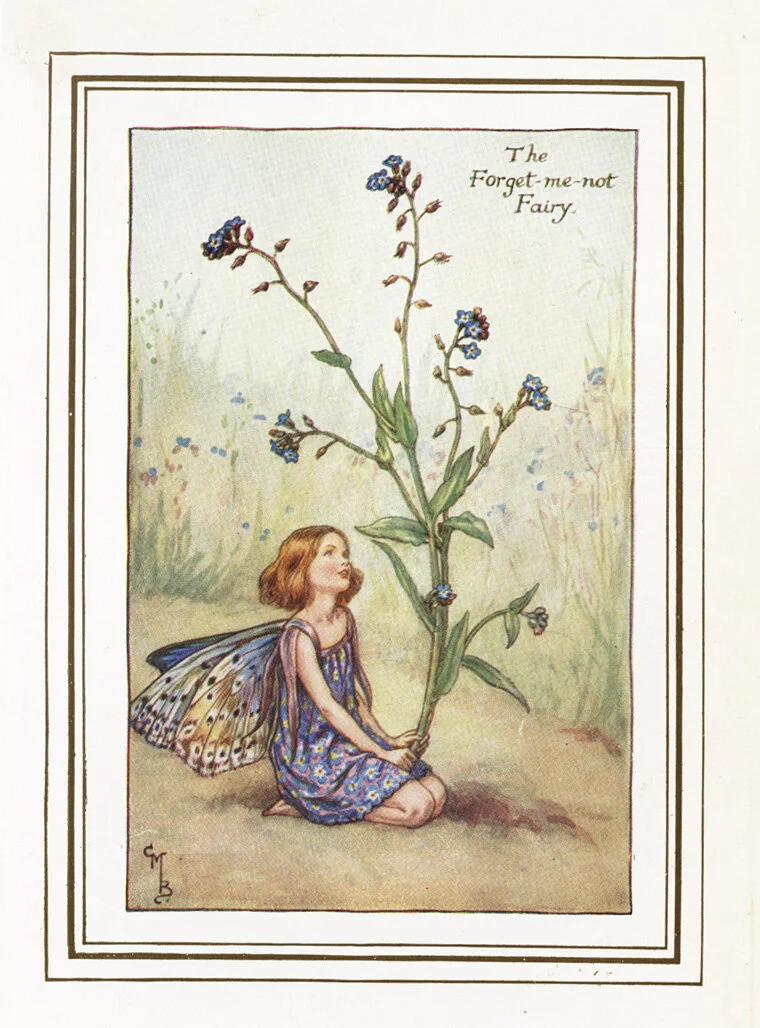 THE FORGET ME NOT FAIRY — The Royal Mile Gallery